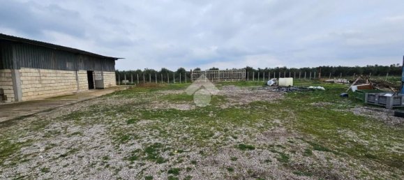 3-salle Maison à Torremaggiore, Italy No. 129784 7