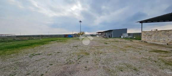 3-salle Maison à Torremaggiore, Italy No. 129784 6