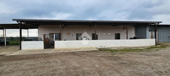 3-salle Maison à Torremaggiore, Italy No. 129784 3