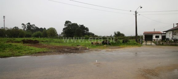  Land in Barcelos, Portugal No. 190494 4