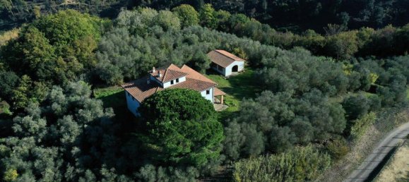 9 bedrooms House in Palaia, Italy No. 56892 7