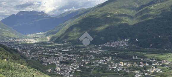 3-Zimmer Haus in Teglio, Italy, Nr. 276305 11