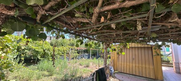 5 bedrooms House in San Giorgio del Sannio, Italy No. 333903 15