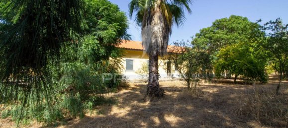 6 bedrooms House in Palmela, Portugal No. 124717 11