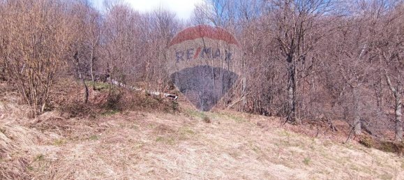 5غرفة منزل في Bormida, Italy رقم 41218 16