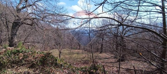 5غرفة منزل في Bormida, Italy رقم 41218 13