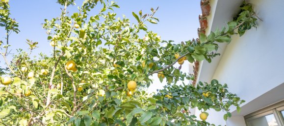 3 Schlafzimmer Haus in Palma de Majorca, Spain, Nr. 161695 33