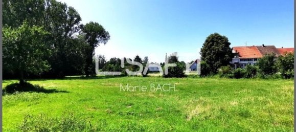 Casa de 5 dormitorios en Drulingen, France No. 217117 2