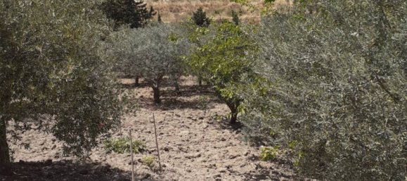 2 bedrooms House in Serradifalco, Italy No. 73597 5