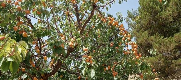 2 bedrooms House in Serradifalco, Italy No. 73597 13