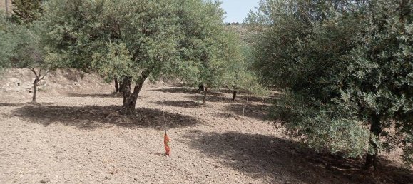 2 bedrooms House in Serradifalco, Italy No. 73597 11