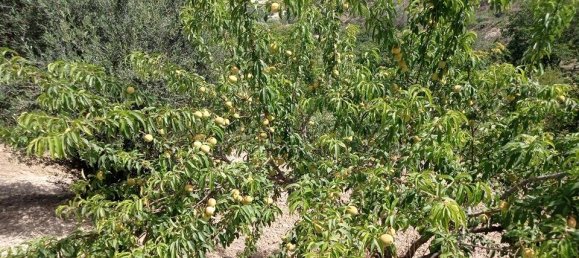 2 bedrooms House in Serradifalco, Italy No. 73597 9