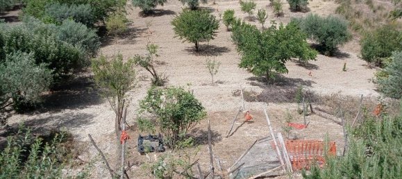 2 bedrooms House in Serradifalco, Italy No. 73597 16