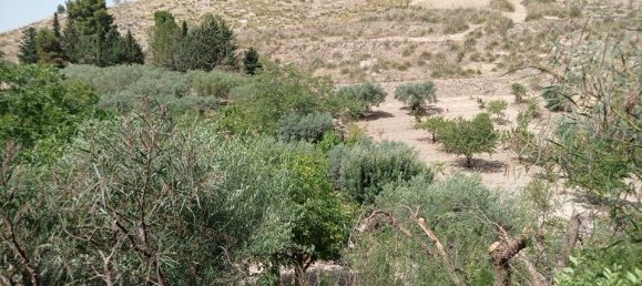 2 bedrooms House in Serradifalco, Italy No. 73597 17