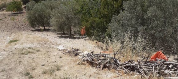 2 bedrooms House in Serradifalco, Italy No. 73597 3