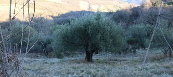 20 rooms House in Valfabbrica, Italy No. 112525 5