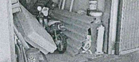 3 rooms Apartment in Chignolo Po, Italy No. 207555 8