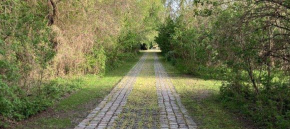 17-Zimmer Haus in Frauenkirchen, Austria, Nr. 169218 2