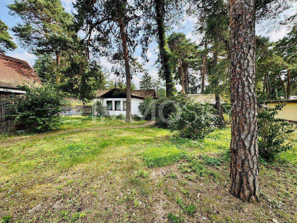 Земельный участок в Даме-Шпревальд, Германия № 226723