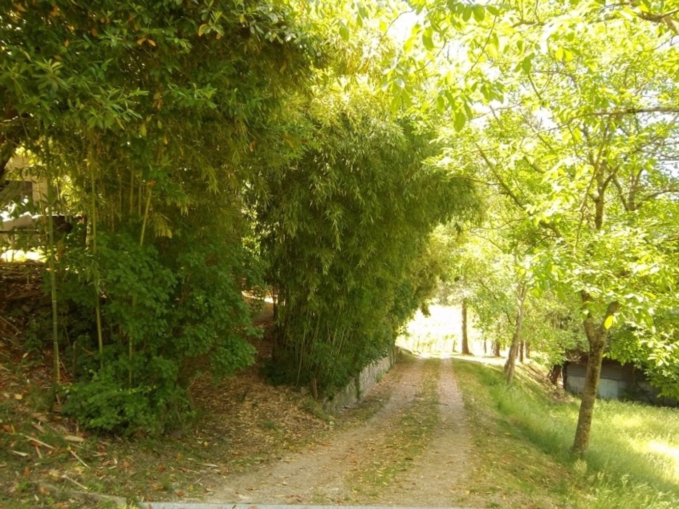 290m² Commercial property in Scarperia e San Piero, Italy No. 178835