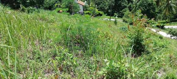 Land in Ko Samui, Thailand No. 33629 6