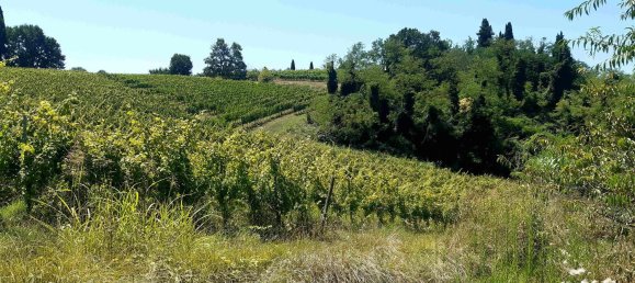 Imóvel comercial em Terricciola, Italy 380 m² N.º 112491 10