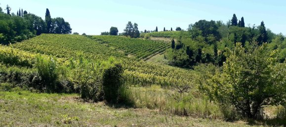 Imóvel comercial em Terricciola, Italy 380 m² N.º 112491 12