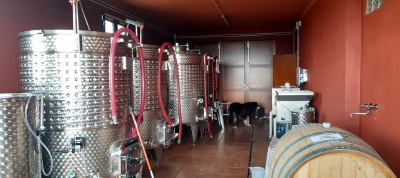 Imóvel comercial em Terricciola, Italy 380 m² N.º 112491 26