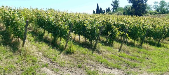 Imóvel comercial em Terricciola, Italy 380 m² N.º 112491 15