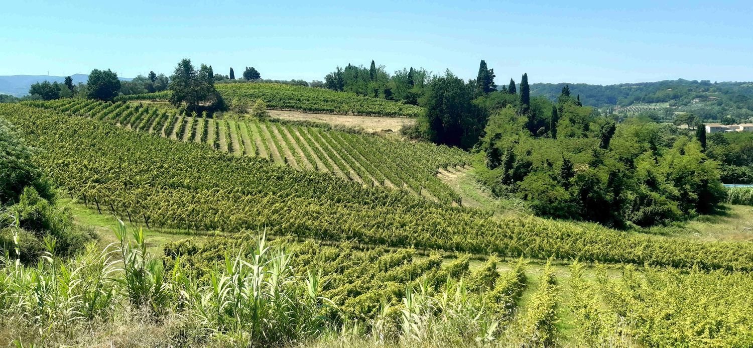 Imóvel comercial em Terricciola, Italy 380 m² N.º 112491