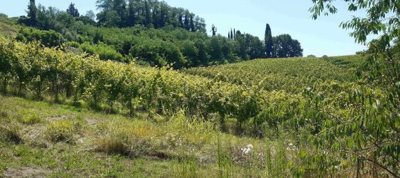 Imóvel comercial em Terricciola, Italy 380 m² N.º 112491 11