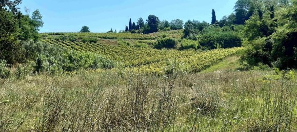 Imóvel comercial em Terricciola, Italy 380 m² N.º 112491 13