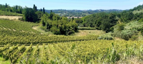 Imóvel comercial em Terricciola, Italy 380 m² N.º 112491 14