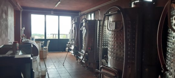 Imóvel comercial em Terricciola, Italy 380 m² N.º 112491 27