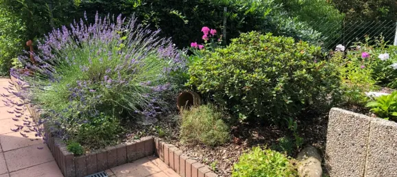 3 Schlafzimmer Haus in Altenkirchen, Germany, Nr. 168710 21