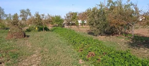 Terreno en Córdoba, Spain No. 160999 11