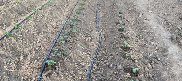 Terreno en Córdoba, Spain No. 160999 15