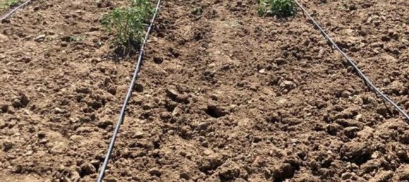 Terreno en Córdoba, Spain No. 160999 14