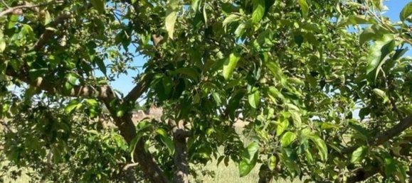Terreno en Córdoba, Spain No. 160999 17