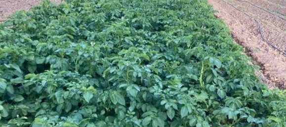 Terreno en Córdoba, Spain No. 160999 10