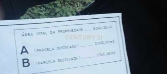 Terrain à Cascais, Portugal No. 115155 11