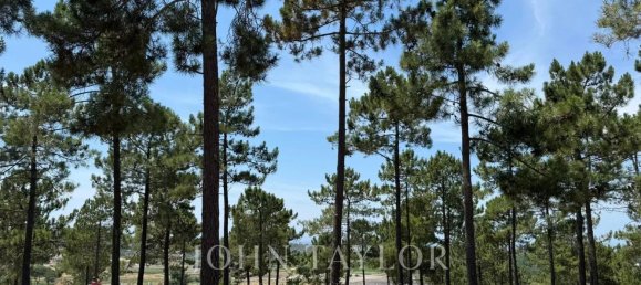 Land in Grandola, Portugal No. 132437 13