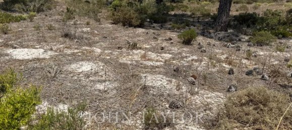 Land in Grandola, Portugal No. 132437 5