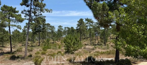 Land in Grandola, Portugal No. 132437 6