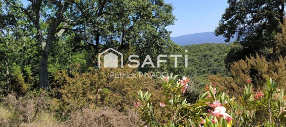 22780m² Land in Pyrenees-Orientales, France No. 282583 2