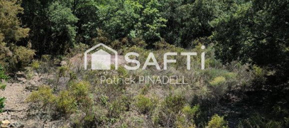 22780m² Land in Pyrenees-Orientales, France No. 282583 3