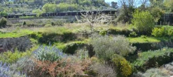 19 rooms Villa in Camporosso, Italy No. 285633 9