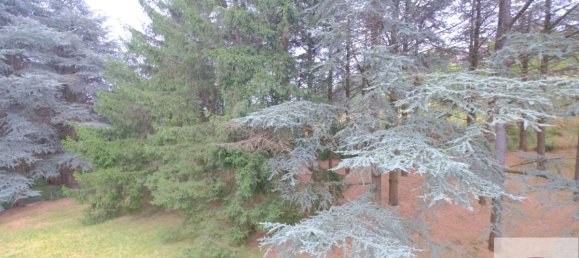 5 chambres Villa à Ponzone, Italy No. 288061 12