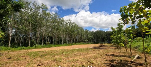 4 bedrooms Villa in Phuket, Thailand No. 14004 10