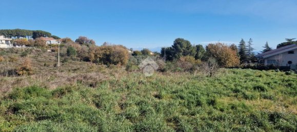 12021m² Land in Viagrande, Italy No. 326413 25